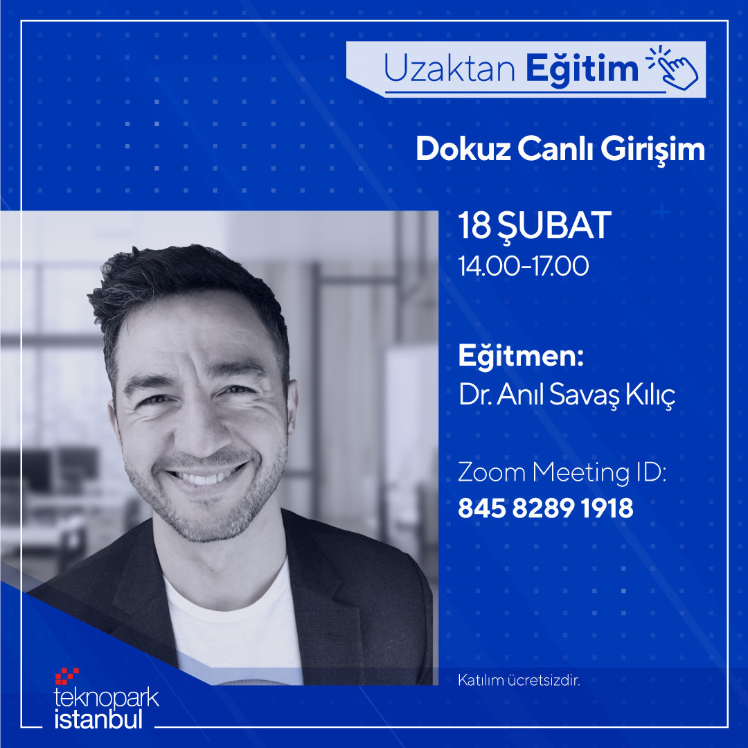 Dokuz Canlı Girişim