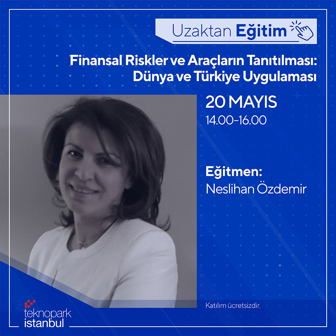 Finansal Riskler ve Araçların Tanıtılması: Dünya ve Türkiye Uygulaması