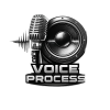 VOICE PROCESS