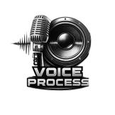 VOICE PROCESS