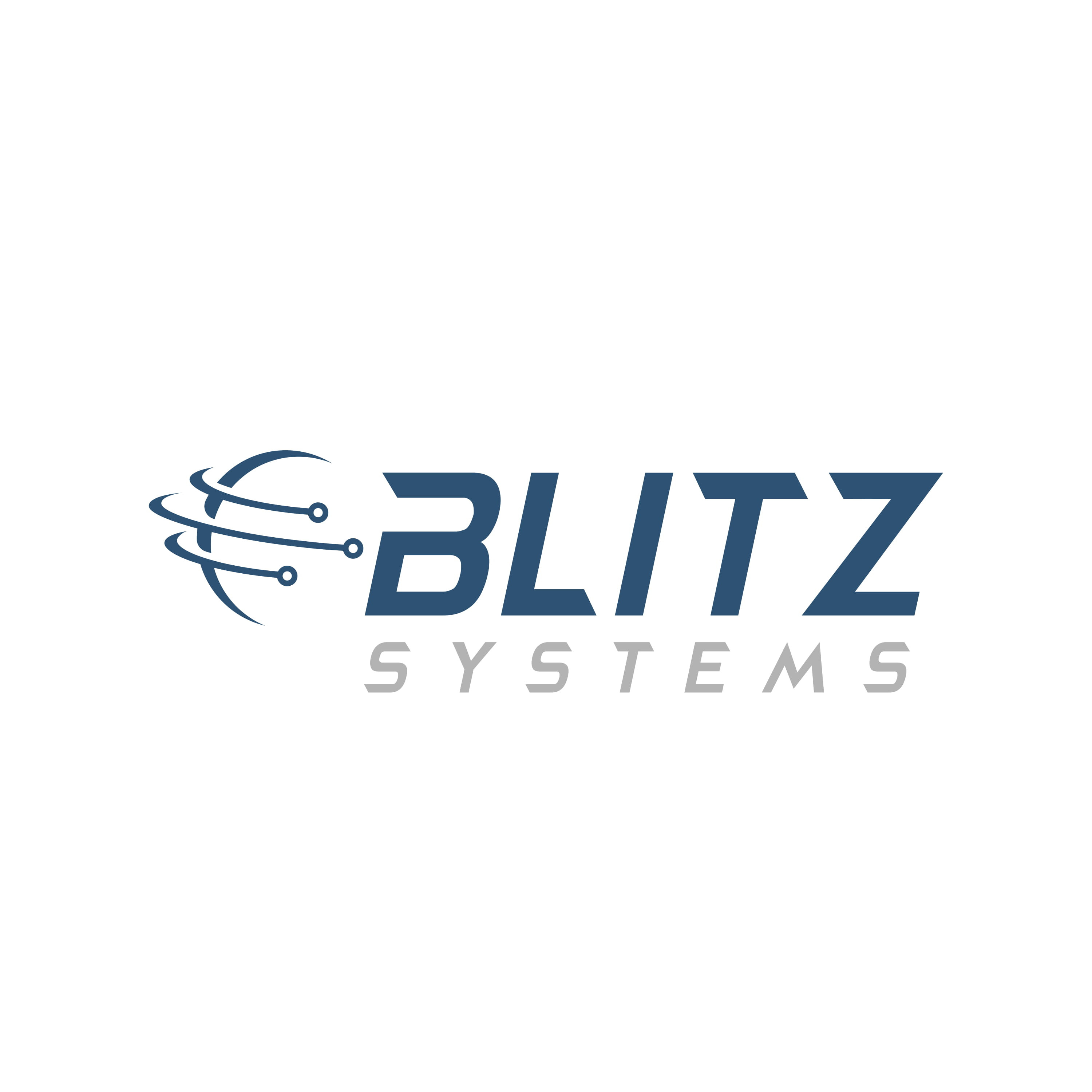 Blitz Systems